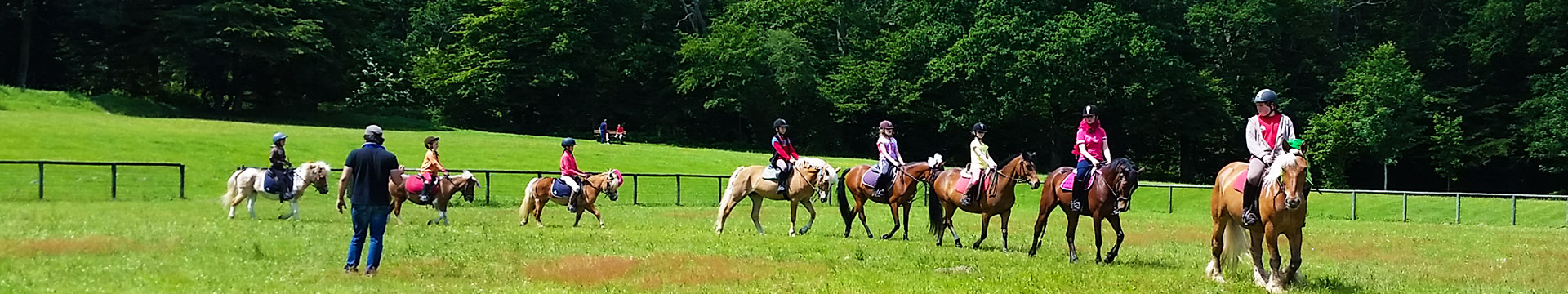 Stage d’équitation Poney